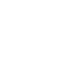 eCommerce Development